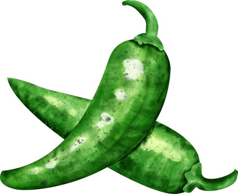 watercolor chili